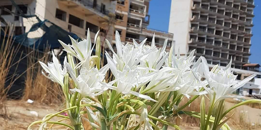 Kıbrıs’taki 62 örgüt Maraş’la ilgili ortak bildiri yayınladı